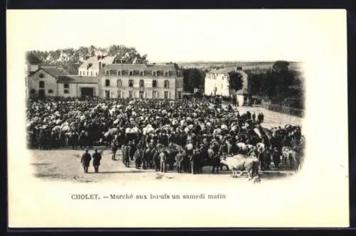 AK Cholet, Marché aux boeufs un samedi matin