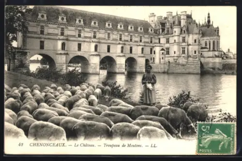 AK Chenonceaux, Le Château, Troupeau de Moutons