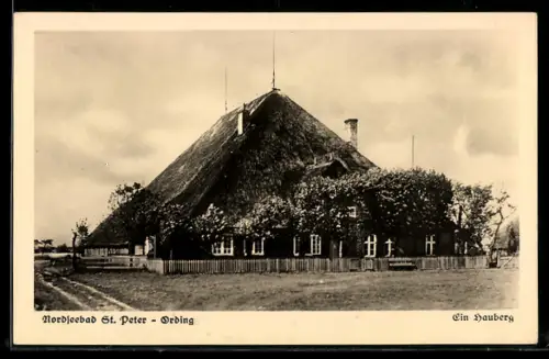 AK St. Peter-Ording, Ein Hauberg
