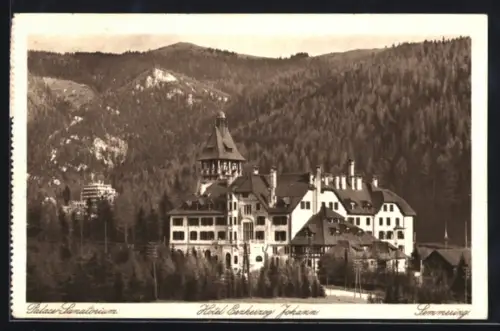 AK Semmering, Palace-Sanatorium, Hotel Erzherzog Johann