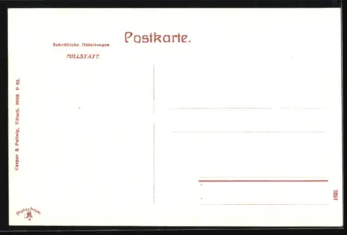 AK Millstatt, Panorama