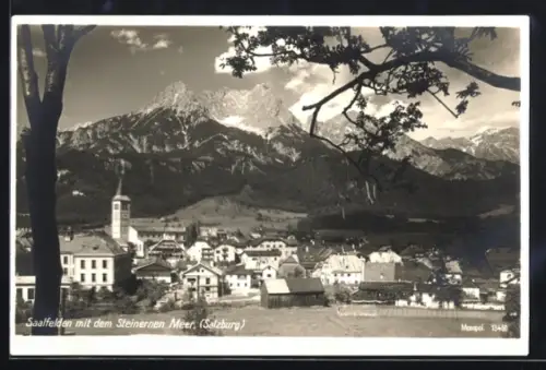 AK Saalfelden /Salzburg, Teilansicht mit dem Steinernen Meer