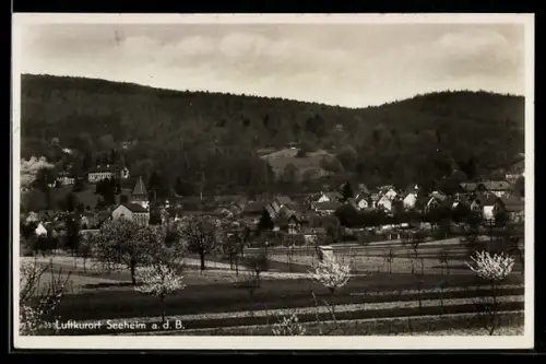AK Seeheim a. d. B., Ortsansicht, Hügel, Streuobstwiesen