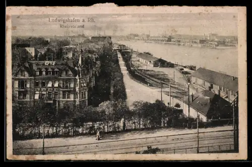 AK Ludwigshafen a. Rh., Rheinpromenade, Flussufer, Stadtansicht