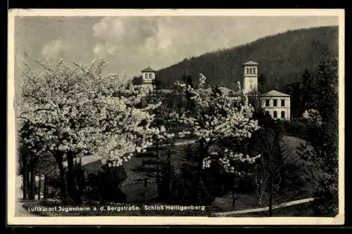AK Jugenheim a. d. Bergstrasse, Schloss Heiligenberg