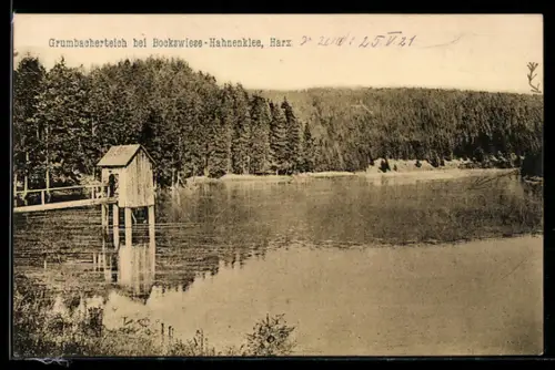 AK Bockwiese-Hahnenklee /Harz, Grumbacher Teich mit umgebendem Wald