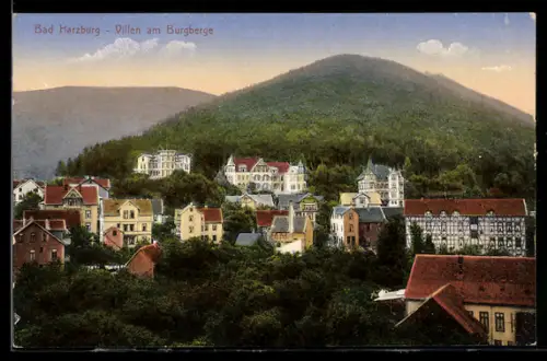 AK Bad Harzburg, Villen am Burgberge