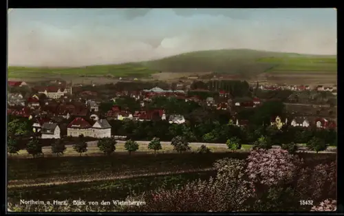 AK Northeim a. Harz, Blick von den Wieterbergen