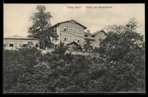AK Thale /Harz, Aufblick zum Hotel zur Rosstrappe