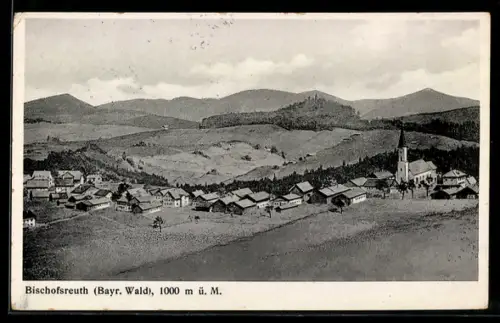 AK Bischofsreuth /Bayr. Wald, Dorfansicht mit Kirche