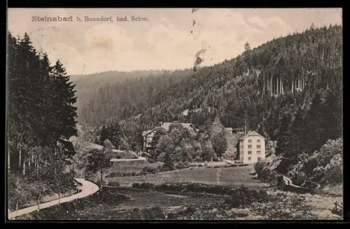 AK Steinabad b. Bonndorf, Talansicht mit Häusern und Wald