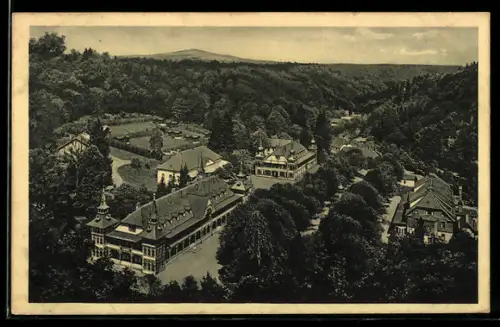AK Alexisbad im Harz, Blick vom Borkenhäuschen