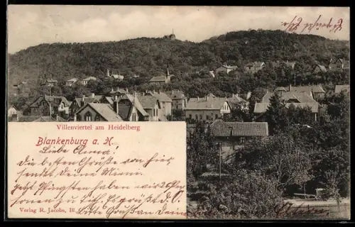 AK Blankenburg a. H., Villenviertel am Heidelberg