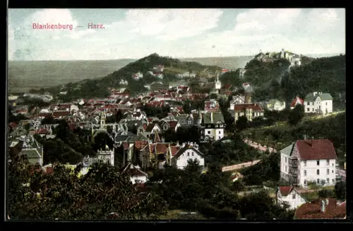 AK Blankenburg /Harz, Stadtansicht, Schloss, Kirche