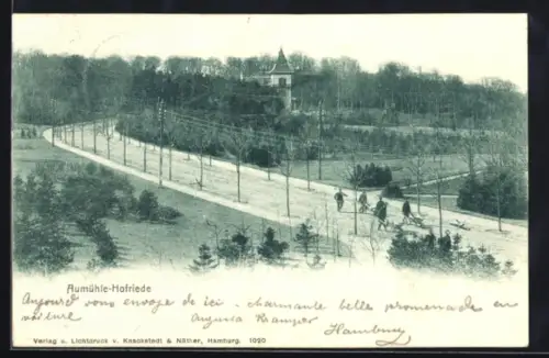 AK Aumühle-Hofriede, Promenade, Wald, Gebäude im Hintergrund