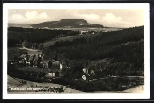 AK Buchholz / Sa., Panorama mit dem Scheibenberg