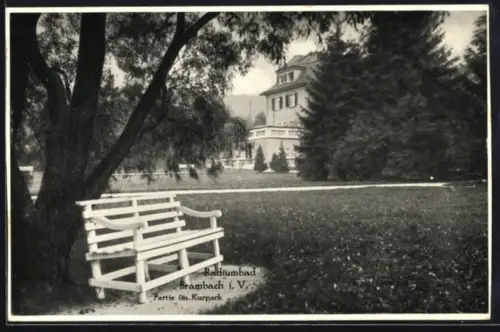 AK Bad Brambach, Partie im Kurpark