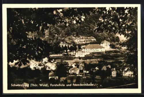 AK Schwarzburg /Thür. Wald, Forstschule und Fremdenhäuser