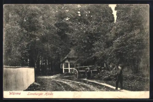 AK Wörme /Lüneburger Heide, Dorfstrasse mit Fuhrwerk