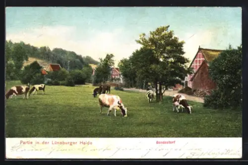 AK Bendestorf, Partie in der Lüneburger Heide