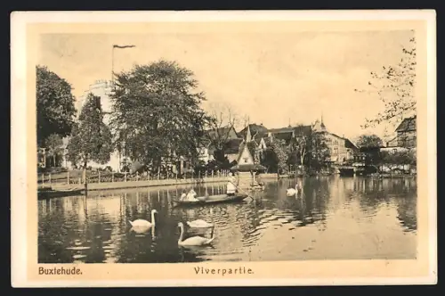 AK Buxtehude, Viverpartie, Schwäne auf dem Wasser
