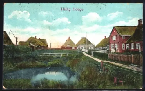 AK Hallig Hooge, Ansicht der Warften mit Teich