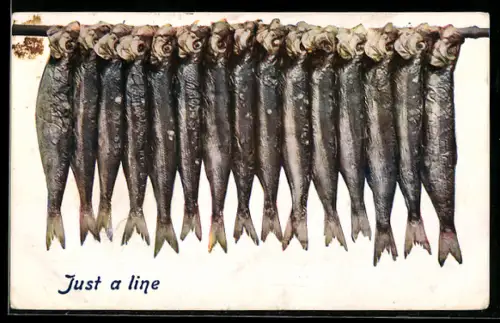 AK Fische zum Trocknen aufgehängt, Fischerei