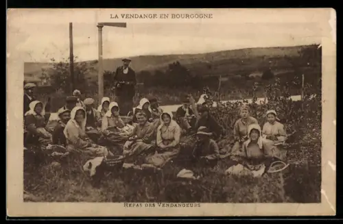 AK Repas des Vendangeurs, Wein