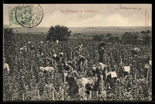 AK Les Vendanges en Bourgogne, Wein