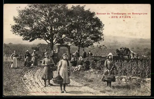 AK Retour de Vendanges en Bourgogne, Wein