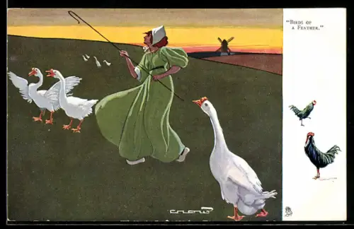 AK Birds of a Feather, niederländische Frau fängt Gänse