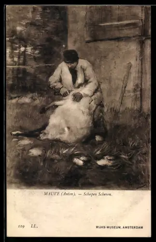 AK Bäuerein beim Scheren von einem Schaf