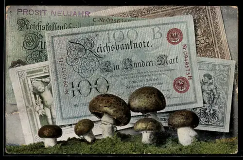 AK Reichsbanknoten, Geldscheine und Champignons