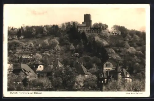AK Durlach, Blick auf den Turmberg zur Blütezeit