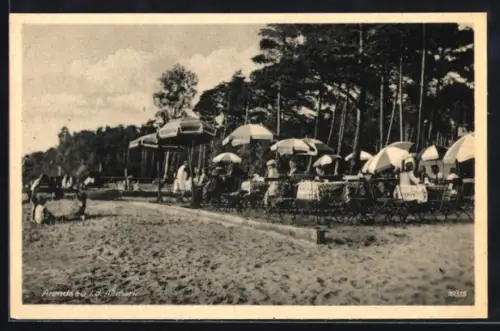 AK Ahrendsee /Altmark, Strandcafé mit Sonnenschirmen und Gästen