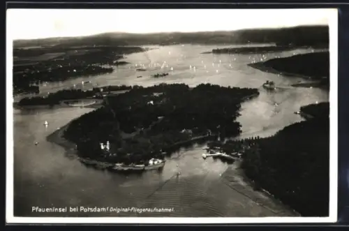 AK Berlin-Wannsee, Pfaueninsel, Original-Fliegeraufnahme, mit Wirtshaus G. Prinz