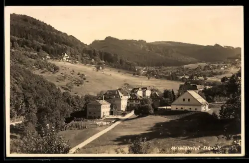 AK Oberbühlertal, Ortspartie mit Strasse