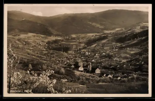 AK Bühlertal, Panoramaansicht