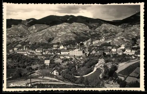 AK Bühlertal i. B., Panorama mit Strassenpartie