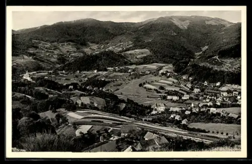 AK Oberbühlertal, Ortsausgang, Panorama