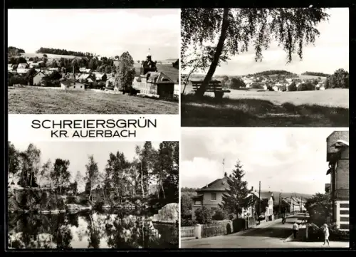 AK Schreiersgrün /Auerbach, Ortsansichten, Teich, Strassenpartie
