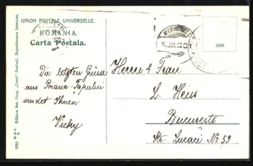 AK Busteni, Vedere Generala