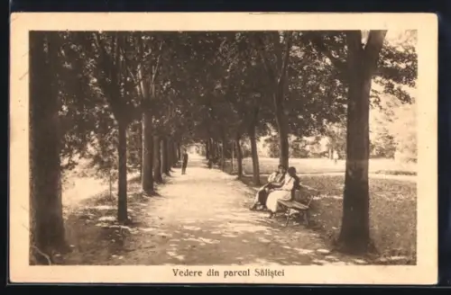 AK Saliste, Vedere din parcul