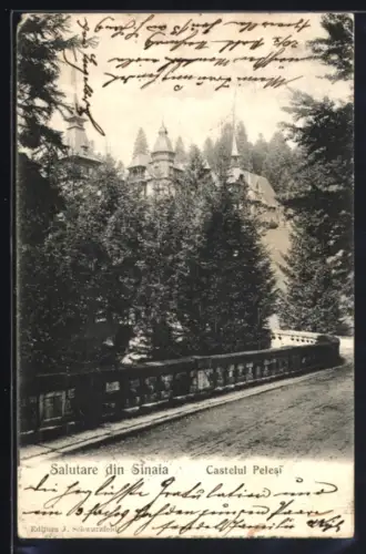 AK Sinaia, Castelul Pelesi