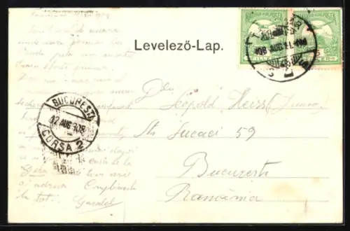 AK Temesvár, Temes-Bega-Palota