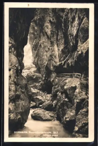 AK Dornbirn /Vorarlberg, In der Rappenlochschlucht