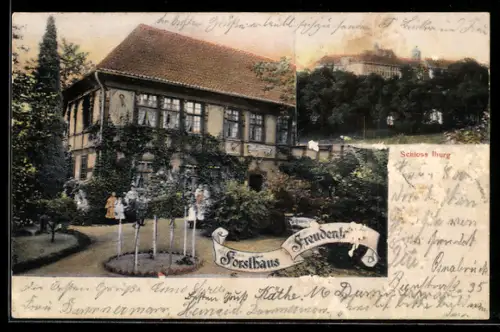 AK Iburg, Gasthof Forsthaus Freudenthal, Schloss Iburg
