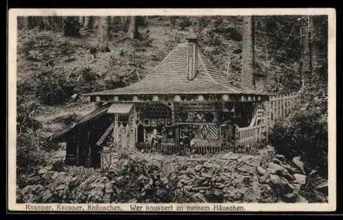 AK Bad Sachsa, Hexenhäuschen im Märchengrund, Modellbau