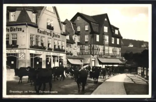 AK Braunlage im Harz, Konditorei Dietze, Damenkapelle, Kuhherde, Strassenpartie