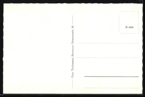 AK Celle, Hengstparade, Rappen-Viererzug